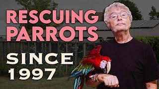 MINI-DOC | The Story of Iowa Parrot Rescue