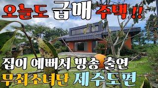 24년10월25일)1억5천 할인(조금더 노력하겠습니다) 오늘도 급매주택 찾아왔습니다!!방송에서도 극찬한 주택!!공원같은 정원과 풀옵션으로 할인분양 합니다!!