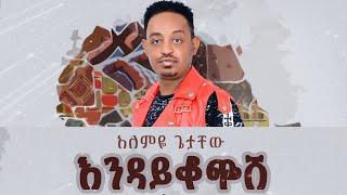 Alemye Getachew - Endaykochesh /  እንዳይቆጭሽ - New Ethiopian Music 2024 [Official Video]