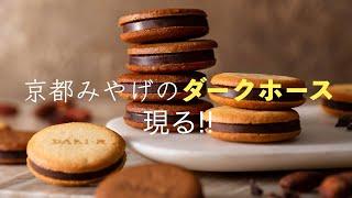 【Dari K】元デパ地下菓子店店長が紹介【チョコ好き必食】
