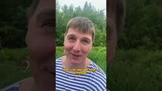 Микрозелень в огороде