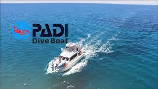 Perth Scuba: Dive with Bucket List Diver