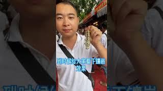 翡翠蛋面代購，這是你們想要的高冰蛋面嗎？種老的翡翠散發的光度永遠不一樣，很迷人。但好的翡翠也要有好的鑲嵌跟設計，才能把翡翠最大的美體現出來