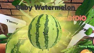 How to get BABY WATERMELON in SECRET STAYCATION Roblox