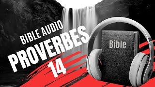 PROVERBE 14 | LA BIBLE AUDIO avec textes