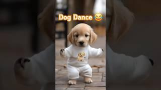 Dog Dance Motorcycle   #Dog #motorcycle #dance #dogdance #petdance #pet #goldenretriever