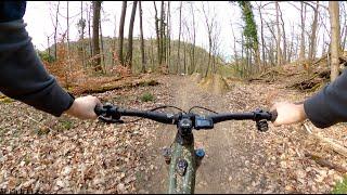 Koblenzer Stadtwald MTB Trails - RITTERSTURZTRAIL (red Line)