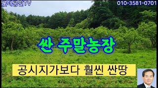 NO.601-1번.  급매   공시지가보다 훨씬 싼 땅,몽땅2천만원. 전1,025㎡(310)