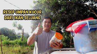 UMPAN KUCUR SELUANG, CARA MEMBUAT KUCUR UMPAN IKAN BAUNG