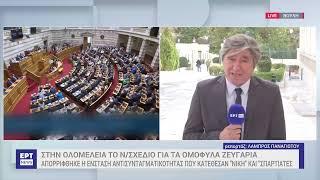 Ομόφυλα ζευγάρια: Απορρίφθηκε η ένσταση αντισυνταγματικότητας – Σκέρτσος: Η ΝΔ είναι αρραγής | ΕΡΤ