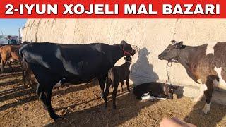 2-ИЮНЬ/ХОЖЕЛИ МАЛ БАЗАРЫ/СКОТНЫЙ РЫНОК/BUQALAR/BIG BULLS IN THE WORLD/BIG COW