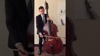 Portato bowing technique on the Double Bass (upright bass)