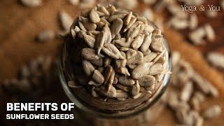 Health Benefits of Sunflower Seeds | Sunflower Seeds Benefits | @VentunoYoga