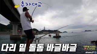 (1일차) 여긴 캠핑하며 돌돔잡아야 겠네요../ 추자도 원투낚시 / caravan  camping car / Fishing / 캠핑카