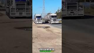 KENWORTH SARL & FREIGHTLINER CORONADO GRAIN TRUCK HEADING OFF FROM THE WEIGH BRIDGE AT PORT  #truck