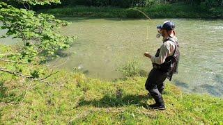 Fly fishing on an early summer day in Bavaria Germany