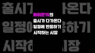 체스주식학교가 알려주는 지금 주목할 섹터는? #아이폰관련주