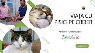 Viaţa cu pisici pe creier Ep 10. Puiu se vindecă! Încă puțin și vom putea vorbi de o luptă câștigată