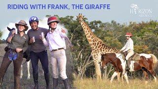 Horse Riding Safari in Africa. Horseback ride with giraffe, kudu, ostrich and impala.