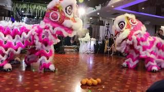 Wedding Performance Tuan & Dung | Silver Pearl | Sept 2018 | AUS Jing Yee Lion Dance