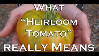 What "Heirloom Tomato" Really Means