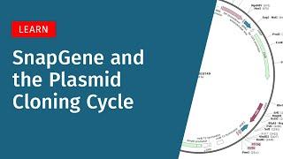 SnapGene and the Plasmid Cloning Cycle