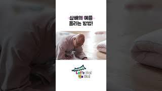 불교예절 초보탈출 | 부처님께 삼배의 예를 올리는 방법#절 #사찰 #예의