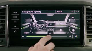 How To: Škoda Karoq Ambient Lighting