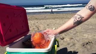 First beach trip with Bleu