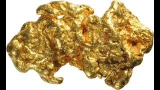 Nitric acid does not dissolve Gold and Platinum | Amazing facts and tips