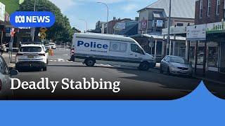 Newcastle stabbing leaves man in his 20s dead | ABC News