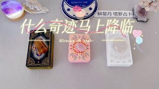 什么奇迹马上降临~根据你目前状况，宇宙为你准备了什么️塔罗占卜