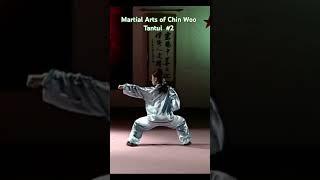 Martial Arts of Chin Woo. Tantui  #2 #kungfu #claseskungfu #martialarts #ejerciciochino