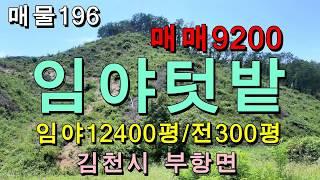 (매매완료)싼임야 텃밭/김천시 부항면 오지 막장 임야/임12400평,전300평,매매9200만원/자연인,귀산인들께 추천하는 시골 임야,텃밭