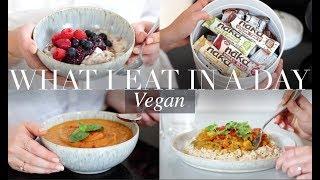 What I Eat in a Day #22 (Vegan/Plant-based) | JessBeautician