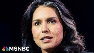 What happened in Syria? Senators 'don't trust' Tulsi Gabbard: Jolly