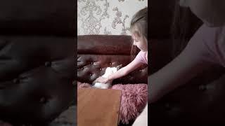 кошка Соня