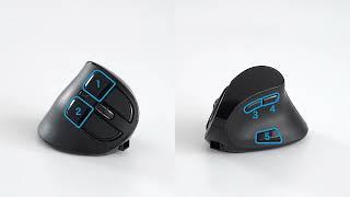 SANWA BT 5.0 + 2.4G Wireless Ergonomic Mouse with LED Screen | Programmable | Windows Mac | GMA130