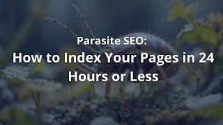 Parasite SEO: How to Index Your Pages in 24 Hours or Less