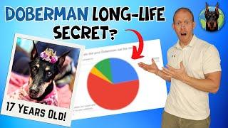 Secrets of the Longest-Living Dobermans (14 Years+) Revealed!