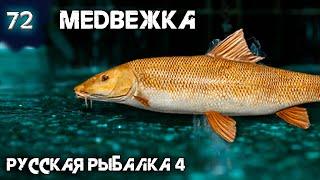 Русская рыбалка 4 - Медвежка. Точка на высиживание трофейного Усача [#72]