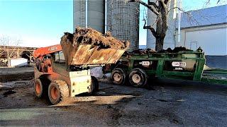 Cleaning Out the Bull Barn