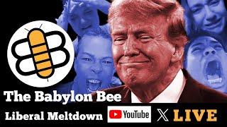 The Bee Reacts To Liberal Election Meltdowns