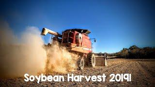 Case IH 2366 Harvesting Soybeans!