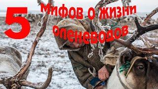 5 мифов о жизни оленеводов в тундре. Народы России