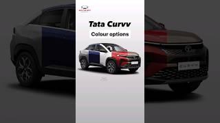 Tata Curvv 2024 Colour Options!! Tata Curvv All Colours | Curvv White | Curvv Pure Grey | M2S