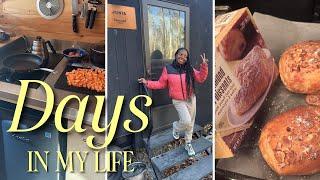 VLOG / It’s Chaotic, MIA in the Postcard Cabins, Vlogmas?, New in PR / The Stush Life