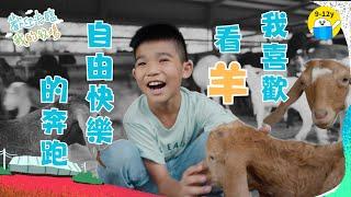 我喜歡看羊自由快樂地奔跑｜#歡迎光臨我的牧場 EP1▸▸ 9歲男孩的羊場生活｜小公視