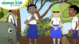 Ninaweza kufanya chochote | Ubongo Kids