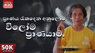 ප්‍රාණය රැකදෙන අනුලෝම විලෝම ප්‍රාණයාම. | Pranayama | Breathe with Anoja | Episode 20 | HD